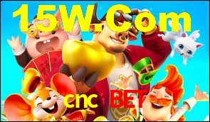 Experiência VIP cnc bet
