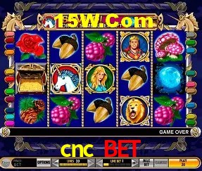 Provedores de Jogos cnc bet