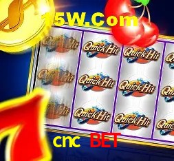 Sistemas de Segurança cnc bet